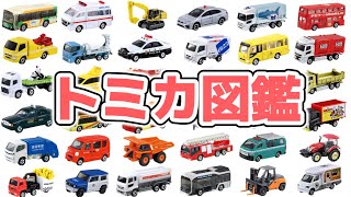 【トミカ図鑑】はたらくくるまのトミカが大集合！ゆうびんしゃ、パトカー、ゴミ収集車、キャリアカー、救急車、消防車などのトミカを紹介するよ♪