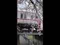 桜と電車 名古屋鉄道