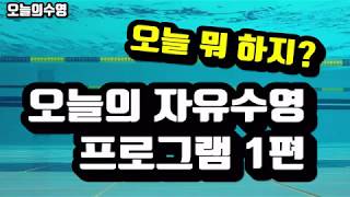 오늘의 수영 #1, 자유수영프로그램 : 자유형인터벌