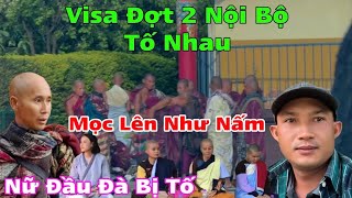 Cực Nóng Thích Minh Tuệ Đầu Đà Bị Tố Nọi Bộ....