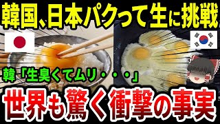 【海外の反応】韓国産の生卵で卵かけご飯を食べた結果w→日本の卵事情に世界が称賛【ゆっくり解説】