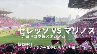 ヨドコウの一体感を感じてきました。。【セレッソ vs マリノス】観戦VLOG 2023/04/01(土)