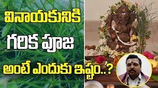 Importance of Garika Pooja | Vinayaka Garika Pooja Vidhanam | గరిక విశిష్టత | Disha TV