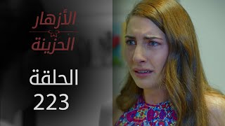 مسلسل الأزهار الحزينة | الحلقة 223 - الموسم الثاني