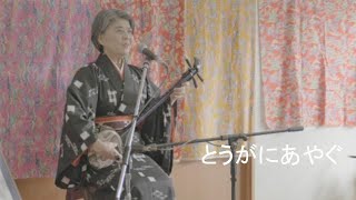 宮古民謡）とうがにあやぐ｜かきのはなあきこ～春彼岸島唄ライブ「琉球の春風2023」より～