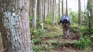 20140322關西馬武督山健走