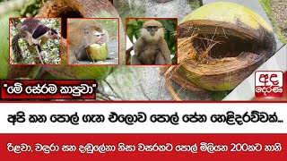 අපි කන පොල් ගැන එලොව පොල් පේන හෙළිදරව්වක් - ''මේ සේරම කාපුවා''