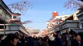 浅草　仲見世通り歩いてみた　Asakusa　tokyo