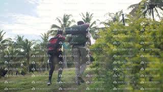 Back view of young couple walking together uphill, holding hands.