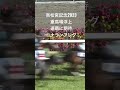 高松宮記念2023 競馬 ギャンブル 競馬予想 jra 中央競馬 高松宮記念 ナランフレグ 丸田恭介