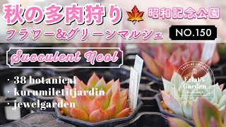 NO.150【多肉植物】可愛い多肉とリメ鉢寄せ植えの多肉祭り✨