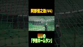 44歳阿部慎之助のエグすぎる『予告ホームラン』