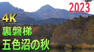 Urabandai autumn scenery [2023] Bandai Asahi National Park Goshikinuma Japan 4K