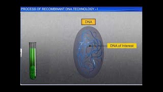 CBSE Class 12 Biology || Process of Recombinant DNA Technol - I