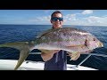 ABSOLUTE GIANT! Trophy Yellowtail Snapper  - Catch Clean Cook