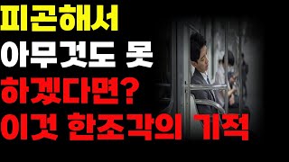 시니어 레시피 건강채널 라이브 방송