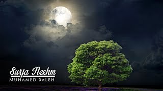 Surja Nexhm - Muhamed Saleh