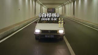 每日音乐推荐丨《白桦林》 1999年 朴树