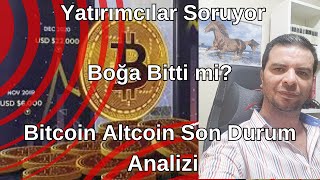 Kripto Para Yatırımcıları Soruyor Boğa Bitti mi? Bitcoin Altcoin Son Durum Analizi