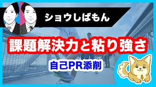 【自己PR添削】目標達成に向けた課題解決力と実現までの粘り強さ