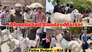 Ahmdabad Bakra Mandi | Ahmedabad Sunday Market || #ahmedabad ​⁠@patirahouse  #bakramandi