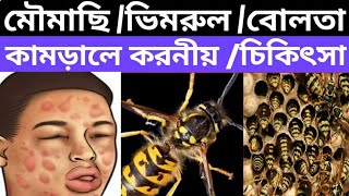 মৌমাছি/বোলতা/ভিমরুল কামড়ালে করনীয় ও চিকিৎসা। Treatment Of Bee/ Hornet Bite