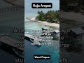 Raja Ampat Exploring Indonesia: Adventure Awaits #shortvideo #short #traveling #adventure