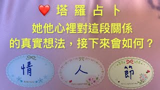 ❤️塔羅占卜-她他心裡對這段關係的真實想法？會告白嗎？要繼續等待還是放下？直白分析，心裡有人都可以測