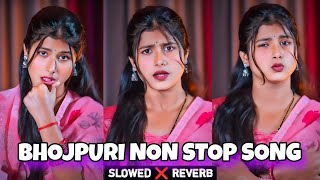 Bhojpuri song nonstop 2025 slowed and reverb | instagram trending bhojpuri lofi song | Lofi song