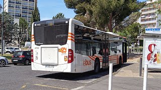 Trajet sur la Ligne 1 RTM en Citaro C2 €6 n°1502