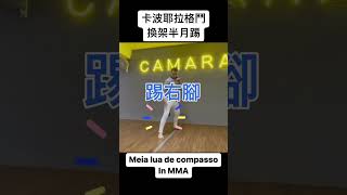 #Capoeira (卡波耶拉/巴西戰舞)格鬥快速動作拆解示範系 #卡波耶拉 #巴西戰舞 #基本動作 #自由搏擊 #mma  #半月踢 #綜合格鬥