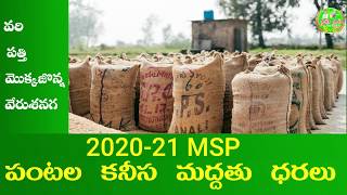 #Rythubadi 106 - MSP 2020 - 21 పంటల కనీస మద్దతు ధరలు