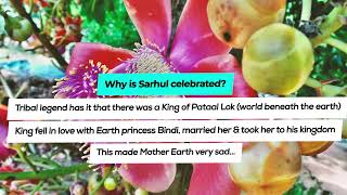 The Story of Sarhul – Festival of Flowers