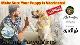 பார்வோ வைரஸ் | Fastest Spreading Virus for Dogs (தமிழ்) | CANINE PARVO VIRUS | Subtitle :ENGLISH