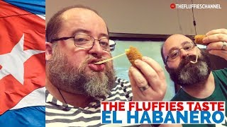 EL HABANERO - CUBAN FOOD IN TORONTO | The Fluffies Channel