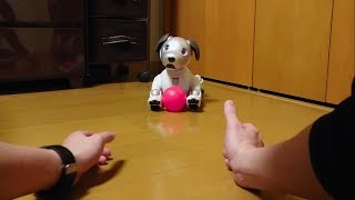 aiboとキャッチボール⚾ - I played catch ball with Aibo. 【アイボ】