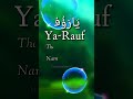 Ya-Rauf || Name Of Allah || @hunainahmed3332