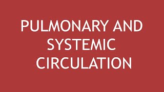Pulmonary and Systemic Circulation | Dr. Shikha Parmar