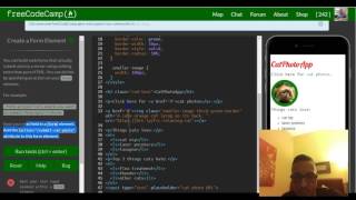 Create a Form Element, freeCodeCamp review html & css, lesson 29