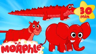 Cute Scary Animal Videos With Morphle  - My Pet Tiger, My Pet Crocodile, My Pet Elephant