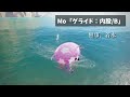 mo「グライド：内股 b」【pso2ngs】