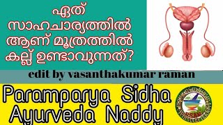 മൂത്രവ്യൂഹത്തിലുണ്ടാകുന്ന മുറിവ്, പഴുപ്പ് എന്നിവ കല്ലിന്റെ.......//Paramparya Sidha Ayurveda Naddy//