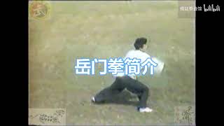 巴渝武術典藏（四）川渝岳門拳簡介 #martialarts #kungfu