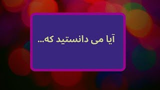 آیا می دانستید که - داستان زندگی مینا