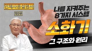 [E321] 인체사용설명서 (제9부) 나를 지켜주는 8가지 시스템 - 소화기의 구조와 원리