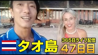 金髪美女が登場！เกาะเต่า【目指せ３６５日！毎日タオ島からライブ配信 47日目（7月29日）】