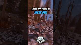 How To Tame A Snow Owl in Ark Survival Ascended