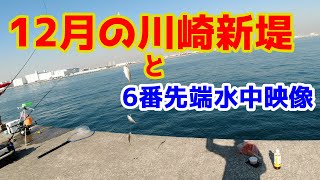 2019年12月川崎新堤でアジ釣りと6番最先端の水中映像