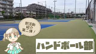 0114【先生に聞いてみた！】都立南葛飾高等学校　〜ハンドボール部〜