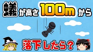 【ゆっくり解説】生か死か？高さ100mから落下したアリはどうなるのか